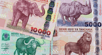 Валюта Танзанійський шилінг