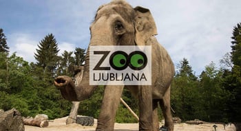 Živalski vrt Ljubljana