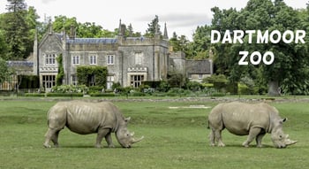 Dartmoor Zoo