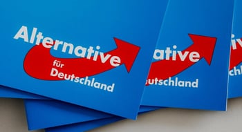 AfD Wahlprogramm