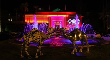 الواجهة الخارجية النابضة بالحياة لكازينو مراكش في الليل