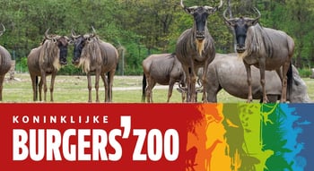 burgers zoo logo