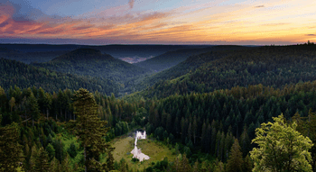 Die natürliche Schönheit des Schwarzwaldes – ein Spaziergang durch den Nationalpark