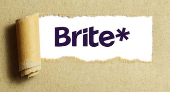 Echtzeitüberweisungen mit Brite