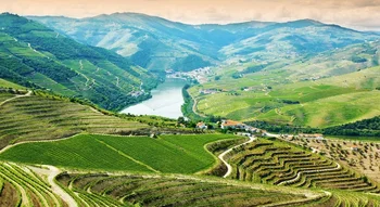 Vale do Douro