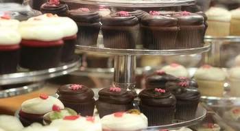 Cupcakes en vitrine de pâtisserie illustrant l’importance de l’Hygiène alimentaire - Présentation générale.