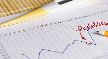 Graphique de suivi de l’ovulation indiquant les symptômes et la période de fertilité.