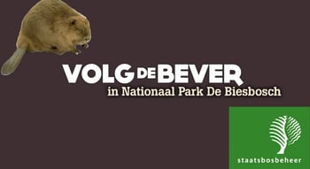 Volgdebever