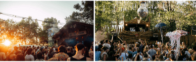Free Tree Open Air – eines der größten offiziellen „Green Events“ Österreichs