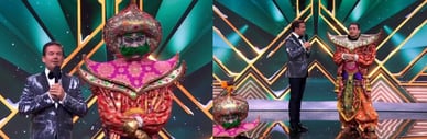 douwe bob masked singer