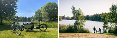 roompot vakantiepark weerterbergen