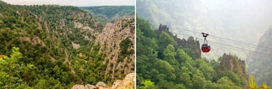 Wald und Felsen Bode-Schlucht Panorama