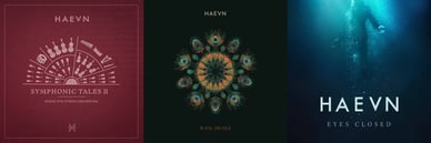 albums van haevn