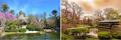 Stille Momente im Setagayapark