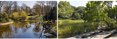 Türkenschanzpark - der Park im 18. Bezirk