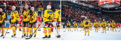 Der Schweizer SC Bern 