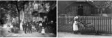 Tierpark Lange Erlen – Fotos aus dem 20. Jahrhundert