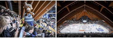 Spengler Cup - das grösste Eishockeyturnier der Schweiz