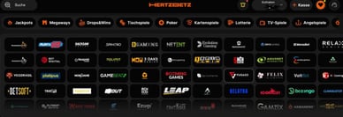 Anbieter im Casino Hertzbetz