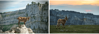 Creux du Van - spektakulärer, natürlicher Felsenkessel im Schweizer Jura