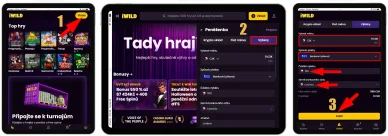 Výběr peněz z kasina iWild