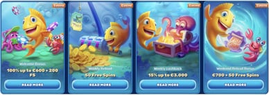 spinfin casino bonuses