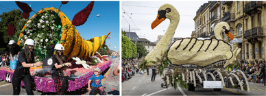 Fête des Vendanges de Neuchâtel - ein Fest voller Musik, Farben und Tradition
