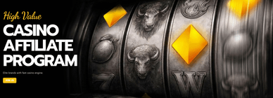 Bison сasino affiliate program