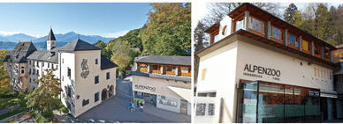 Alpenzoo Innsbruck - hochgelegener Zoo in Österreich