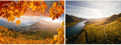 Wachau im Herbst - malerischer Donauabschnitt