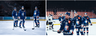 ZSC Lions - ein professioneller Schweizer Eishockeyclub aus Zürich