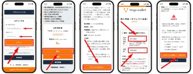 ベガウォレットへの入金アルゴリズム