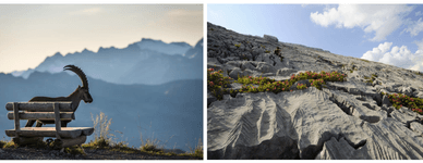 UNESCO Biosphere Entlebuch - ein einzigartiges Naturerlebnis