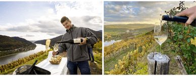 Wachauer Wein aus Österreich 