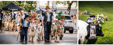 Desalpe Charmey - traditionelles Bergfest im Freiburgerland