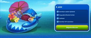 Spinfest VIP program