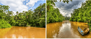 Trüber Fluss mit Boot im Regenwald