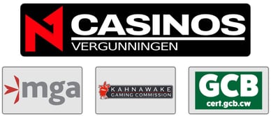 N1 Interactive limited vergunning