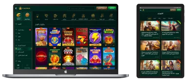 تنوع ماكينات السلوتس في Casinia مع عروض حصرية تشمل مكافآت العملات المشفرة و200 لفة مجانية