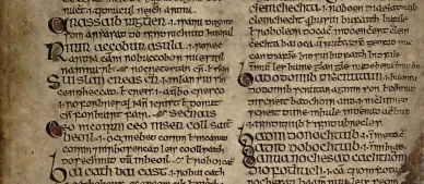 Manuscript page from Lebor na hUidre (‘Book of the Dun Cow’), MS 23 E 25, p. 12.