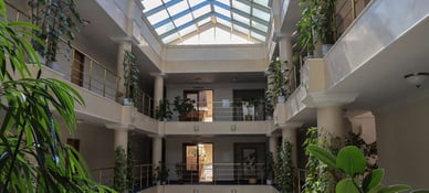 Optima Collection Aurora