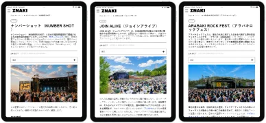 日本の他のロックフェス 日本のロックフェスティバル