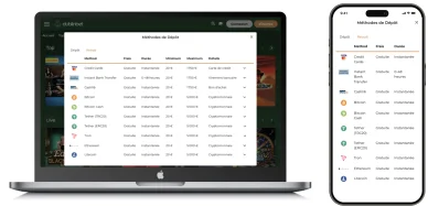 Tableau des méthodes de dépôt sur un site de casino en ligne, montrant des options comme les cartes bancaires, les virements bancaires et les cryptomonnaies, avec des informations sur les frais, délais, minimum et maximum.