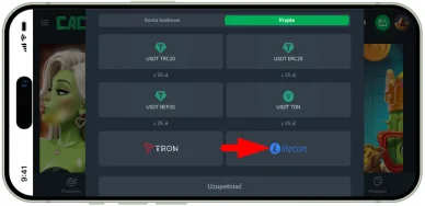 Litecoin Płatności w kasynach online — Litecoin