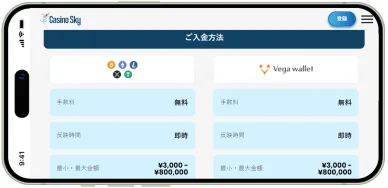 支払い方法の種類 オンラインカジノの支払い方法