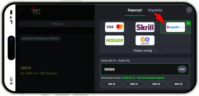 Wybór kasyna z płatnością Paysafecard i rejestracja