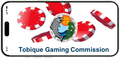 Bezpieczeństwo i licencje