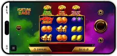 Slot “Fortune Bags”