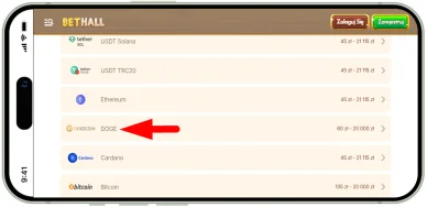 Dogecoin Metoda płatności w kasynach online — Dogecoin