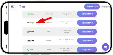 Payz Metody płatności w kasynach online — Payz